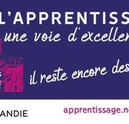 apprentissage: une voie d'excellence !